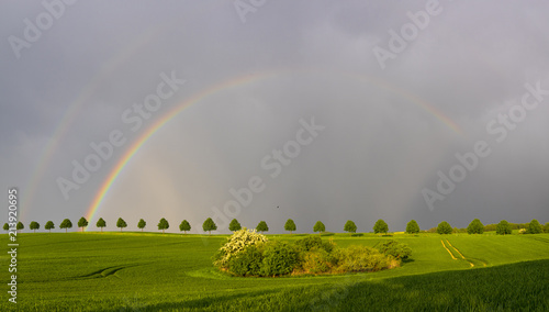 double, beautiful, multi-colored rainbow after passing a spring downpour over a green field