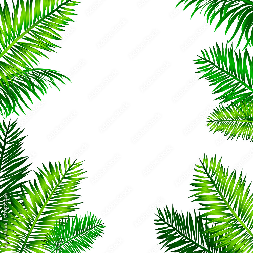 Tropical frame with palm leaves and space for your text. Blue sky background. Vector tropical design. Tropical frame with palm leaves and space for your text. Blue sky background. Vector tropical design.