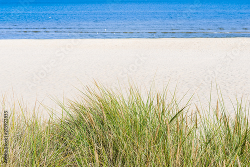 Fototapeta Naklejka Na Ścianę i Meble -  Dune with beach grass in the foreground.