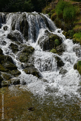 Cascade et canard