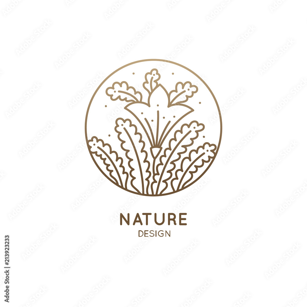 Fototapeta premium Tropical plant logo