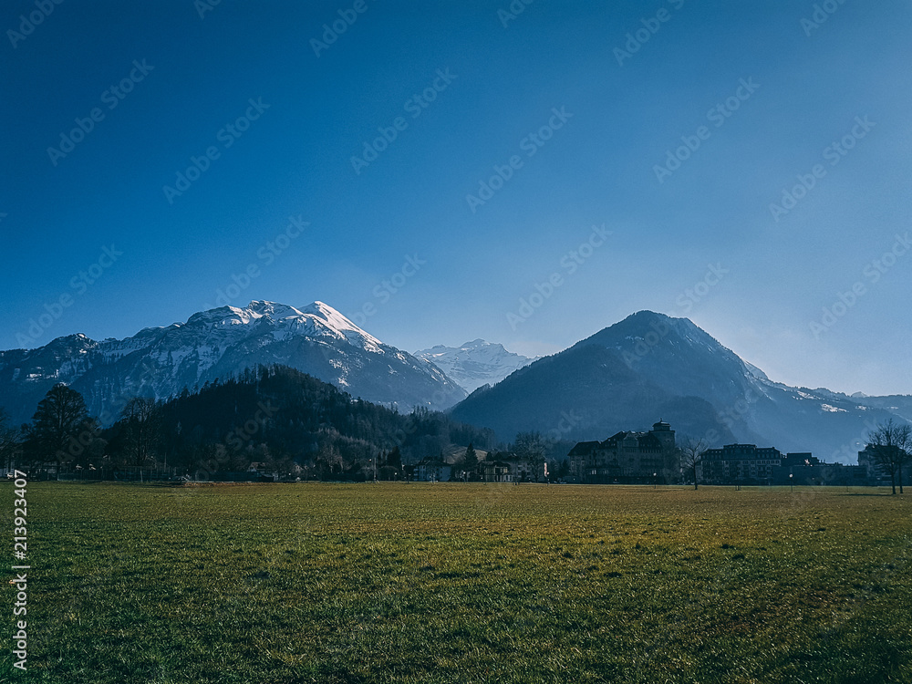 Swiss Mountain View