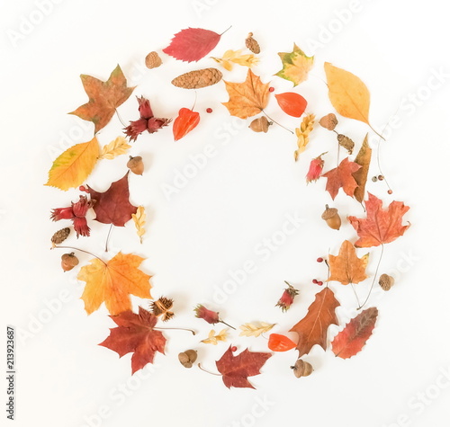 Autumn composition background. Frame wreath pattern made of autumn tree leaves, cones, acorns, on white background. Top view. Copy space. Flat lay
