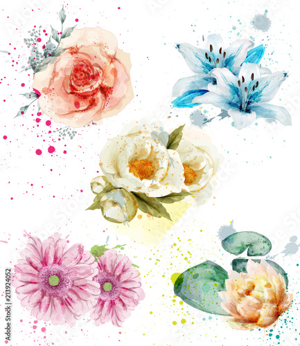 Beautiful flowers watercolor set Vector. Blue lily, gerber and roses floral c...