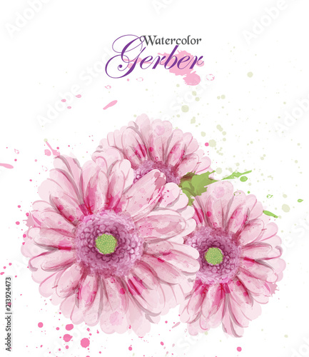 Watercolor gerber flower blossom Vector. Vintage greeting, or wedding invitat...