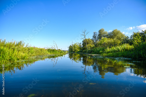 A beautiful river landscape, trees reflecting in the water surface.