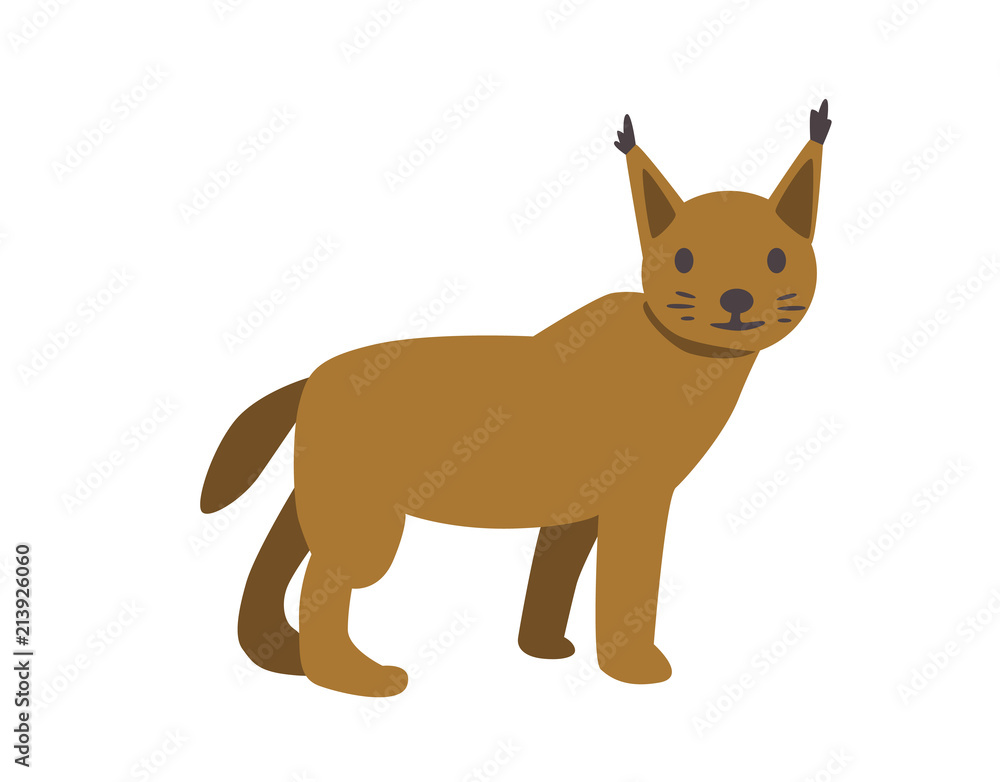 Fototapeta premium Lynx, bobcat. Flat vector illustration. Isolated on white background