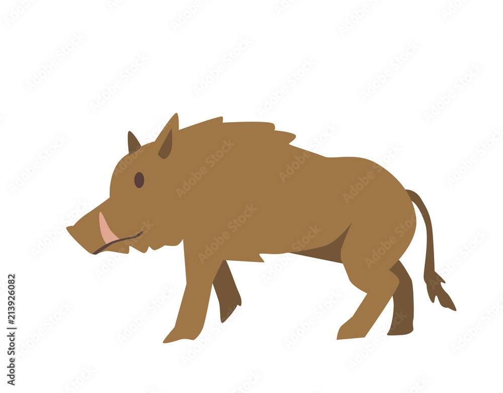 Furry wild boar. Flat vector illustration. Isolated on white background Furry wild boar. Flat vector illustration. Isolated on white background