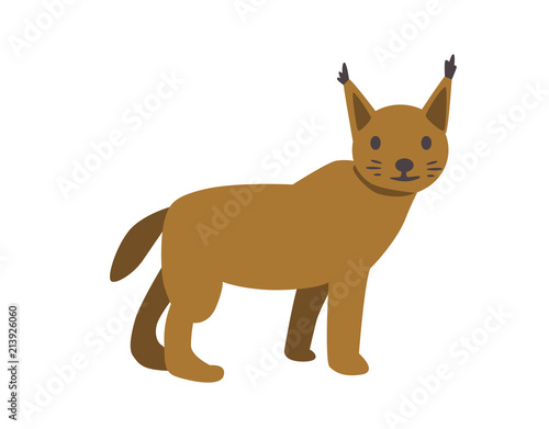 Lynx  bobcat. Flat vector illustration. Isolated on white background