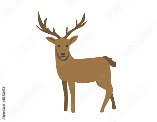 Deer, raindeer. Flat vector illustration. Isolated on white background