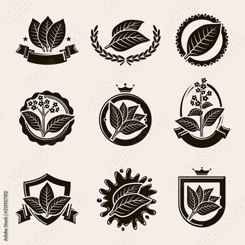 Tobacco leaf label and icons set. Vector