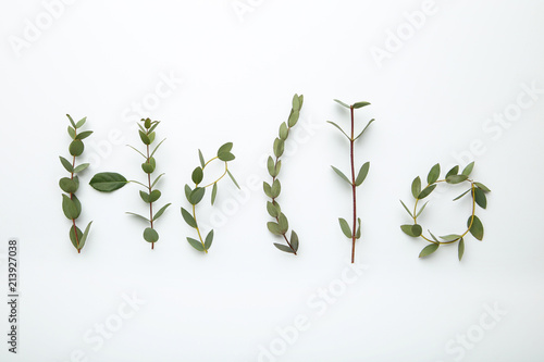 Inscription Hello by green leafs on white background