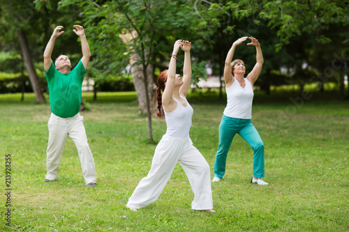 group of people practice Tai Chi Chuan in a park. Chinese management skill Qi's energy.