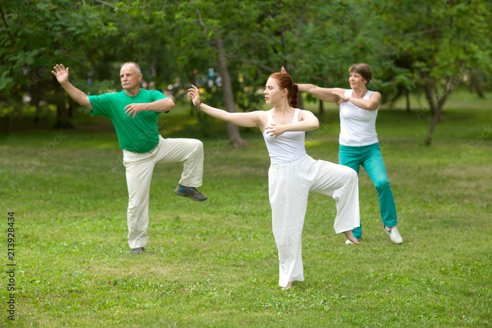 group of people practice Tai Chi Chuan in a park. Chinese management skill Qi's energy. group of people practice Tai Chi Chuan in a park. Chinese management skill Qi's energy.