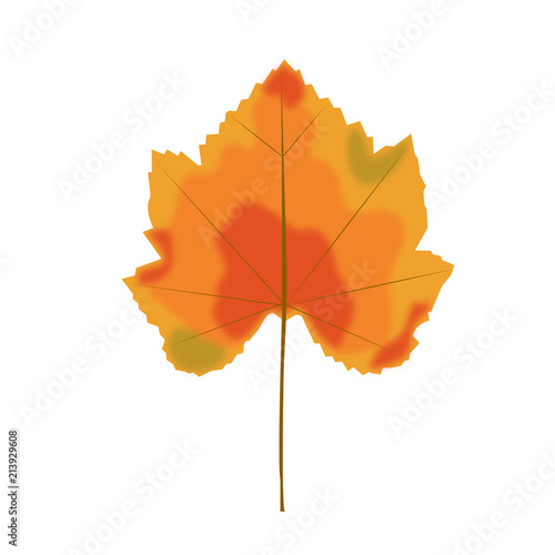 Herbstblatt