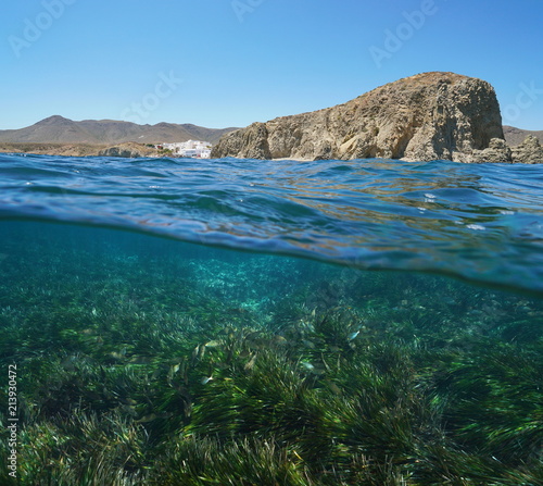 Rocky coast near the village La Isleta del Moro with seagrass and fish underwater, split view above and below water surface, Mediterranean sea, Cabo de Gata-Níjar, Almeria, Andalusia, Spain