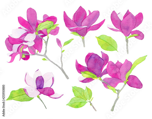 Set of watercolor magnolia flower llustration © runlenarun