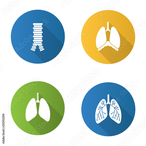 Internal organs flat design long shadow glyph icons set