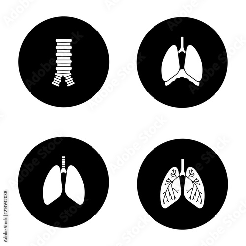 Internal organs glyph icons set