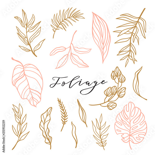 Elegant collection of foliage for stylish feminine logo or wedding invitation. Set cute leaves isolated on the white background.