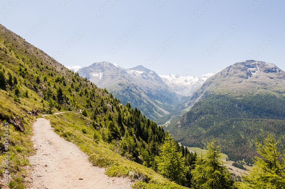 Pontresina, Val Bernina, Wanderweg, Rosatschgruppe, Val Roseg, Bernina, Piz Bernina, Morteratsch, Gletscher, Berninagruppe, Muottas Muragl, Alpen, Graubünden, Sommer, Schweiz