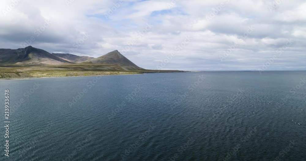 drone video of iceland landscape, volcano mountains and the ocean with birds in snaefellsnes drone video of iceland landscape, volcano mountains and the ocean with birds in snaefellsnes
