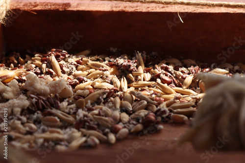 A grain for birds in feeder in winter times