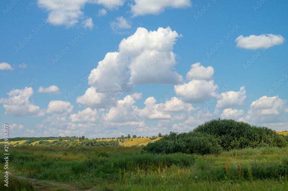 Cloudy summer sky over the meadow hilly valley of the reserved places of Russia. Landscape field and grass Cloudy summer sky over the meadow hilly valley of the reserved places of Russia. Landscape field and grass