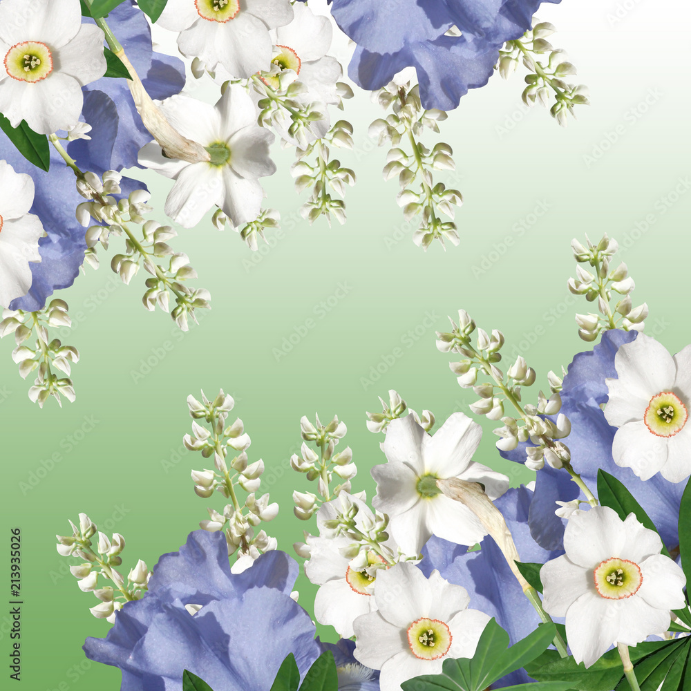 Fototapeta premium Beautiful floral background of narcissus, iris and lupine