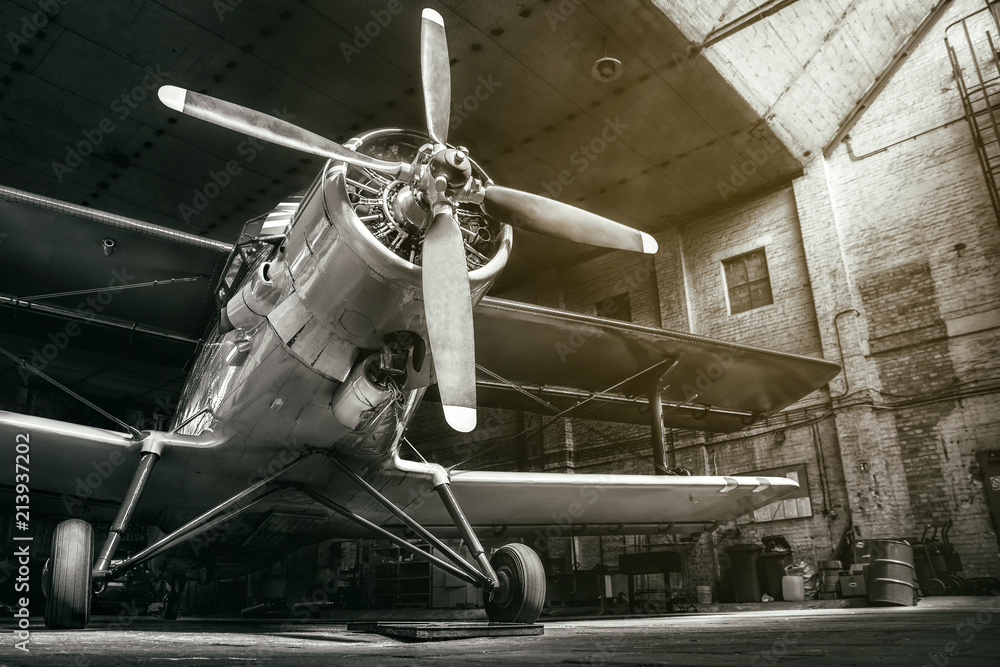 Naklejka premium historyczny samolot w hangarze