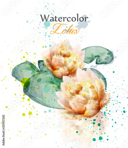 Beautiful watercolor lotus flower Vector. Delicate floral decor