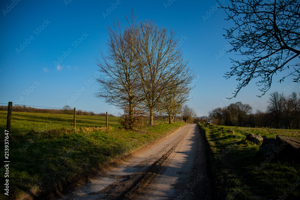 A road in the country