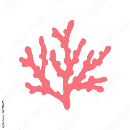 coral isolated hand drawing. on a white background