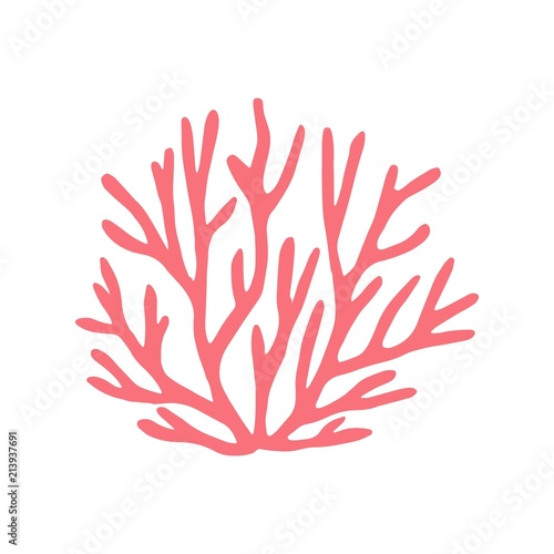 coral isolated hand drawing. vector on white background. marine animal