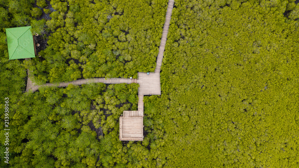 Mangroves inTung Prong Thong or Golden Mangrove Field at Estuary Pra Sae, Rayong, Thailand Mangroves inTung Prong Thong or Golden Mangrove Field at Estuary Pra Sae, Rayong, Thailand