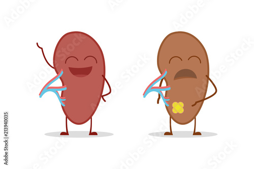 Canvas Print Healthy and sick spleen isolated on white background vector illustration