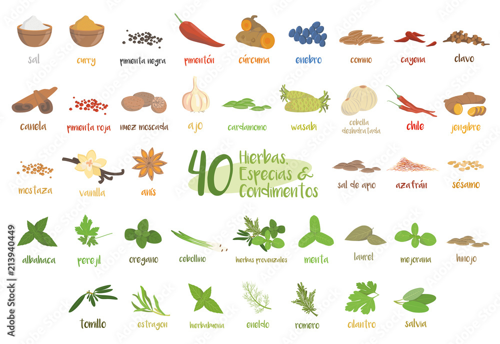 Obraz premium Set of 40 different culinary herbs, species and condiments in cartoon style. Spanish names.