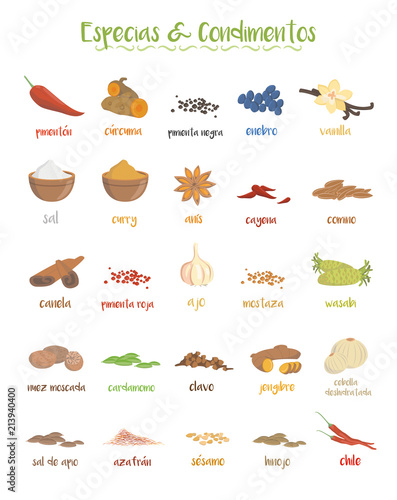 Set of 25 different culinary species and condiments in cartoon style. Spanish names.