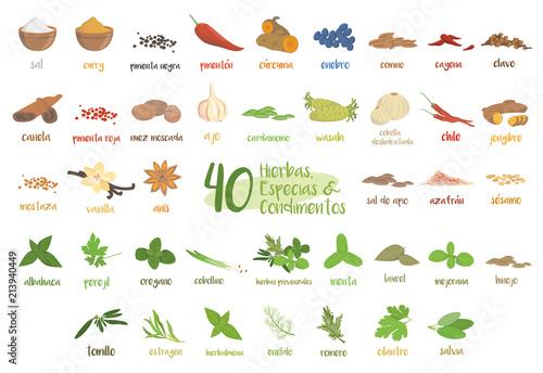 Set of 40 different culinary herbs, species and condiments in cartoon style. Spanish names. © asantosg