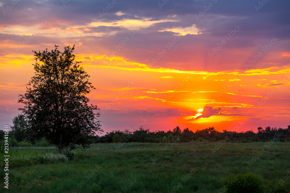 Fototapeta premium sunset in steppe