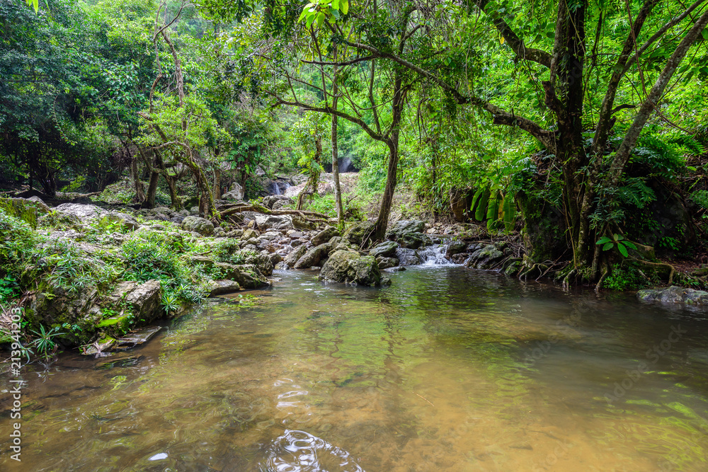tropical nature in sarika waterfall at nakhon nayok, Thailand tropical nature in sarika waterfall at nakhon nayok, Thailand