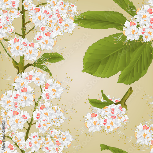 Seamless texture Chestnut tree flowers with leaves spring background vintage vector illustration editable hand draw
