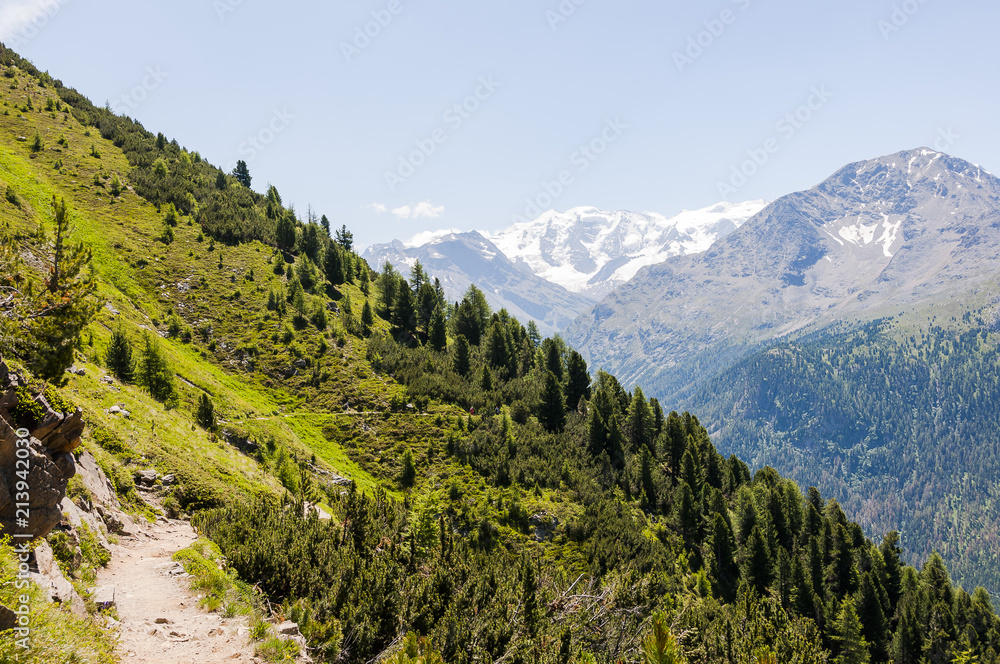 Pontresina, Muottas Muragl, Piz Palü, Rosatschgruppe, Diavolezza, Wanderweg, Panoramaweg, Bernina, Oberengadin, Graubünden, Sommer, Schweiz
