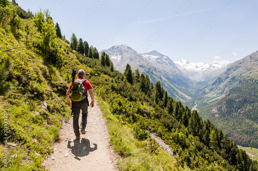 Pontresina, Val Roseg, Roseggletscher, Wanderweg, Panoramaweg, Muottas Muragl, Val Bernina, Bernina, Oberengadin, Alpen, Graubünden, Sommer, Schweiz