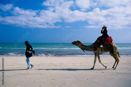 turismo marino gita su cammello isola di jerba tunisia photo