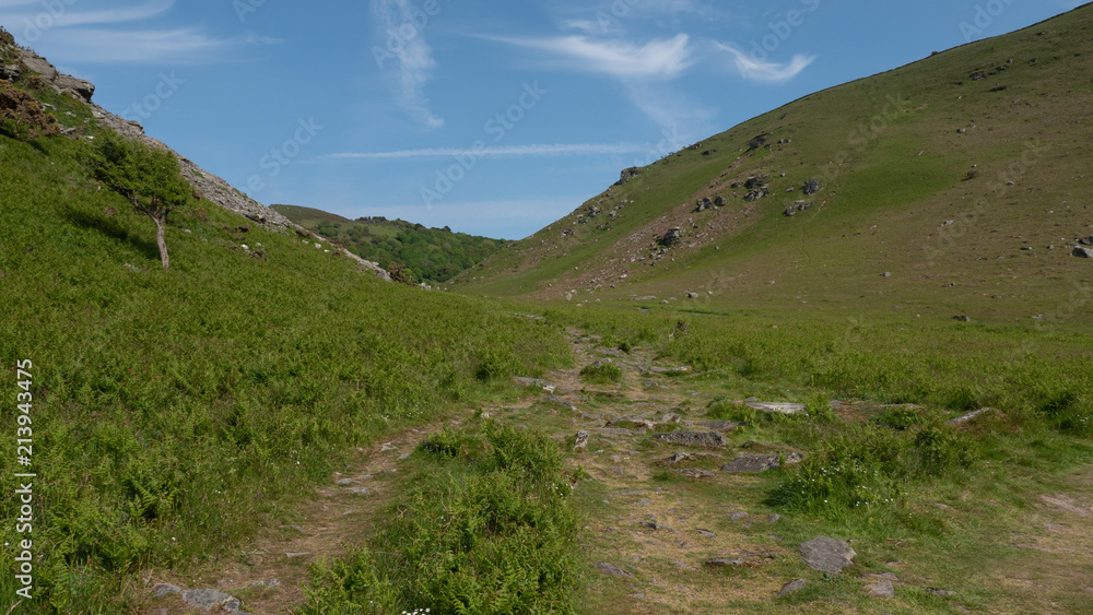 Fototapeta premium The Valley of Rocks in north Devon, England west of the village Lynton