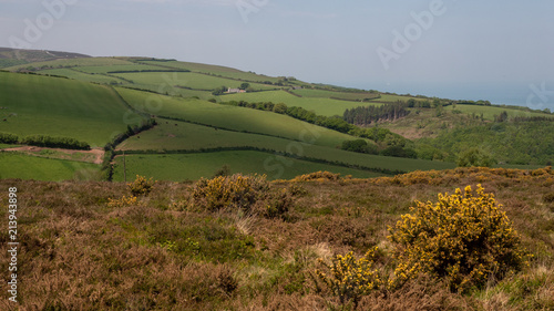 Exmoor National Park with highest point Dunkery Beacon photo