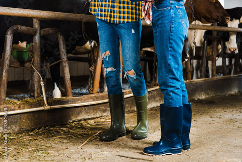 cropped image of couple of farmers standing in stable in rubber boots