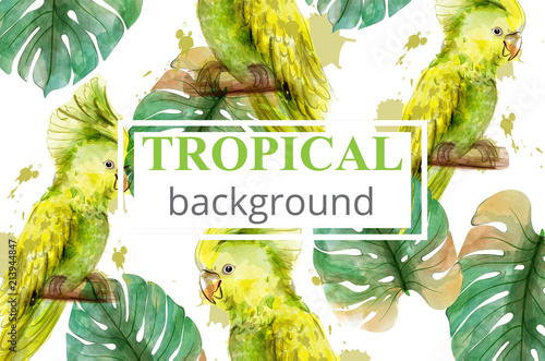 Tropical paradise with watercolor parrots and palm leaves card background Vector