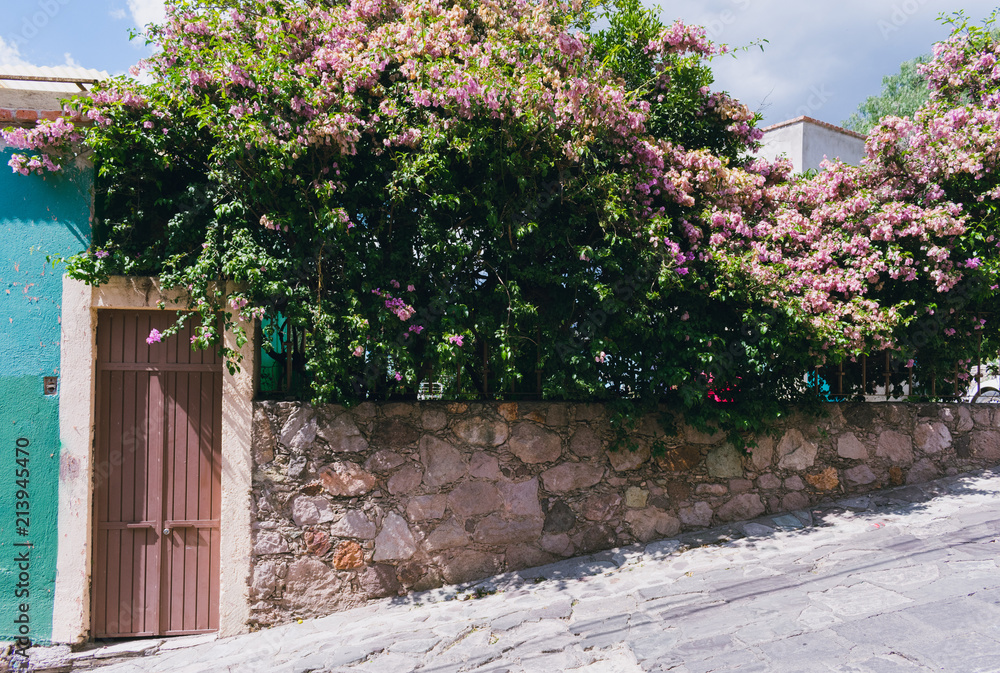 Fototapeta premium Brown metal door with pink flower bush